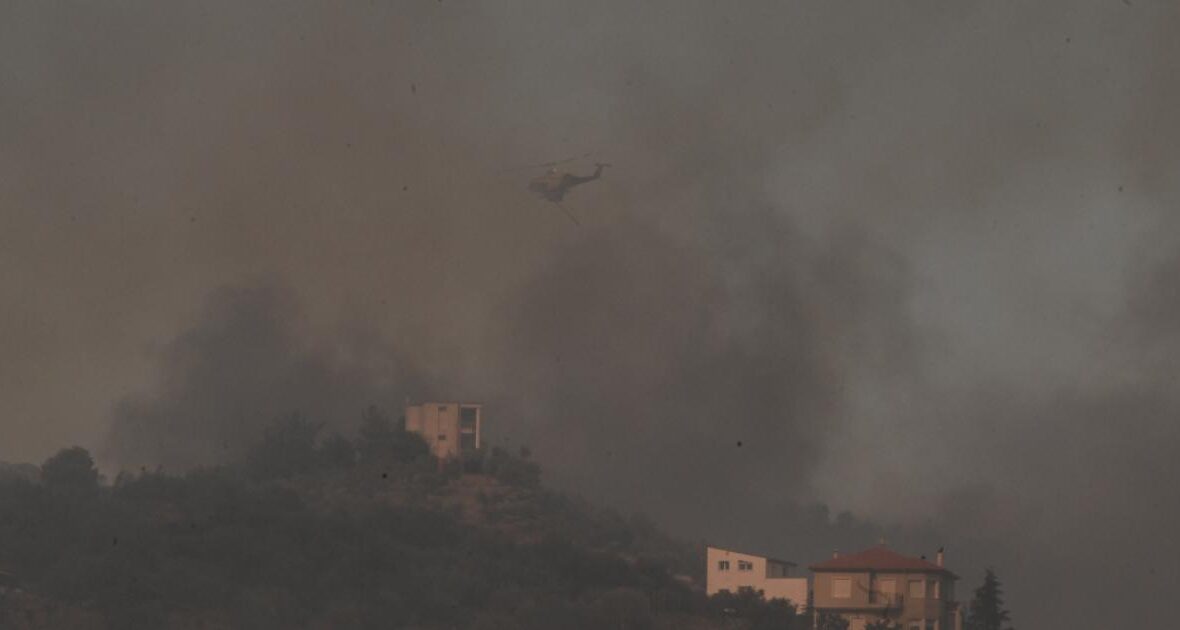 Το ίδιο το φαινόμενο είναι κυνικό...